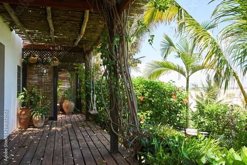 Tropical Terrace photo