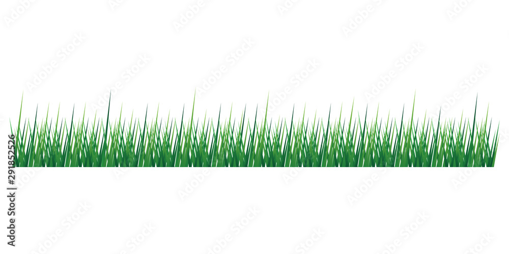 grass vector isolated on transparent background grass vector isolated on transparent background