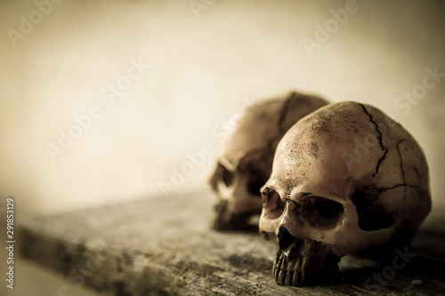 old skull in horror photo for Halloween 