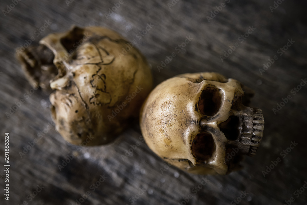 old skull in horror photo for Halloween old skull in horror photo for Halloween