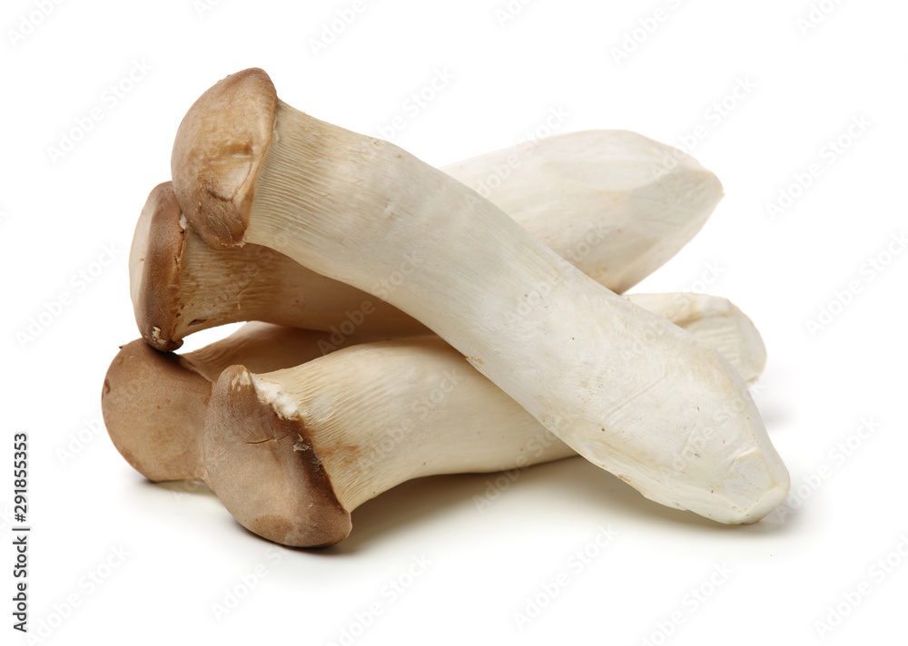King oyster mushroom Pleurotus eryngii on white background King oyster mushroom Pleurotus eryngii on white background
