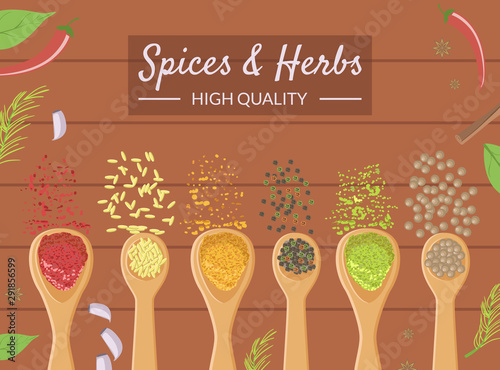Spices and Herbs Banner Template, Different Cooking Spices in Wooden Spoons, Healthy Cooking High Quality Vector Illustration
