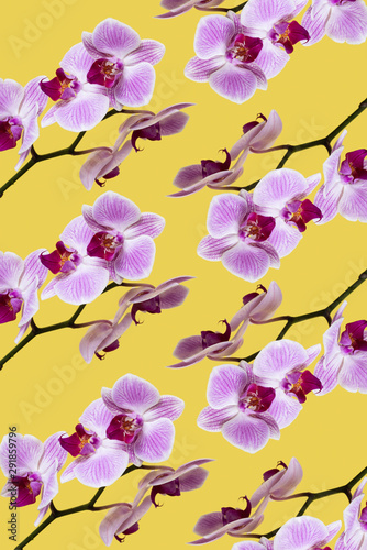 mosaic of pink orchids photo