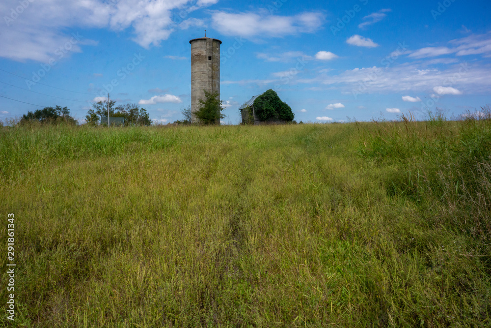 grain bin and overgrown farm shed grain bin and overgrown farm shed