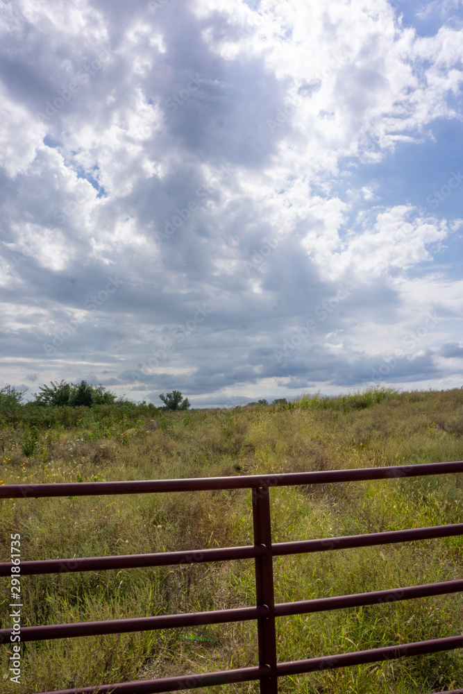 farm gate, native grasses and vivid skies