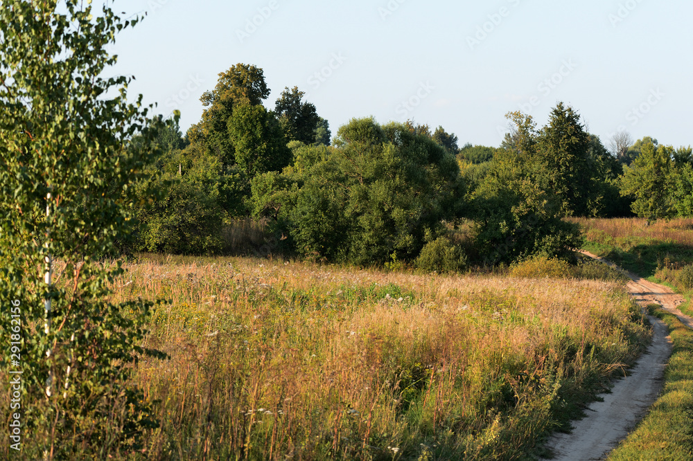 The road in the field. Evening rural scene The road in the field. Evening rural scene
