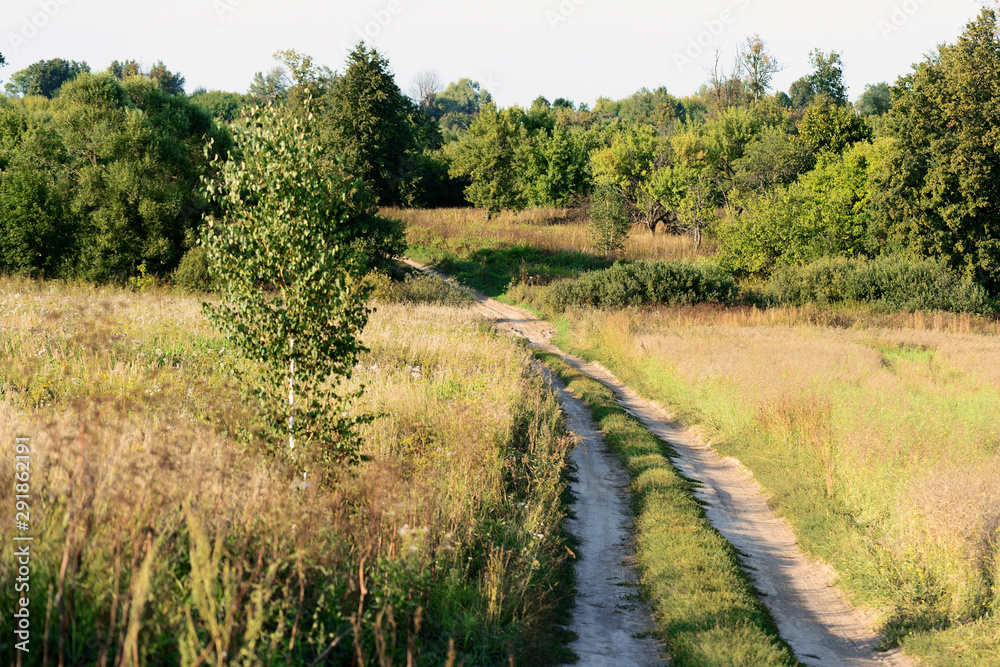 The road in the field. Evening rural scene The road in the field. Evening rural scene