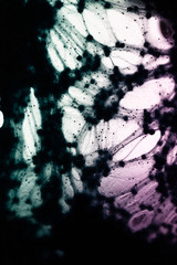 Abstract textures with slimes on white background