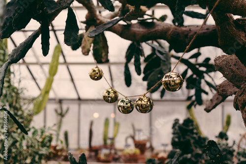 sleigh bells in a botanical garden photo