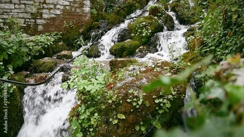 waterfall in forest photo