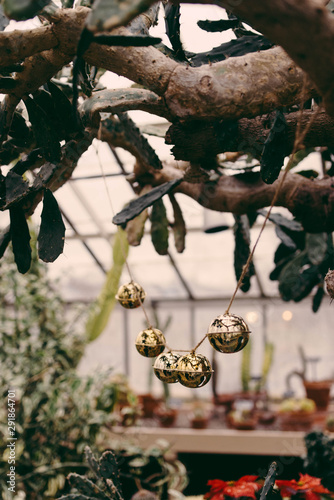 sleigh bells in a botanical garden photo