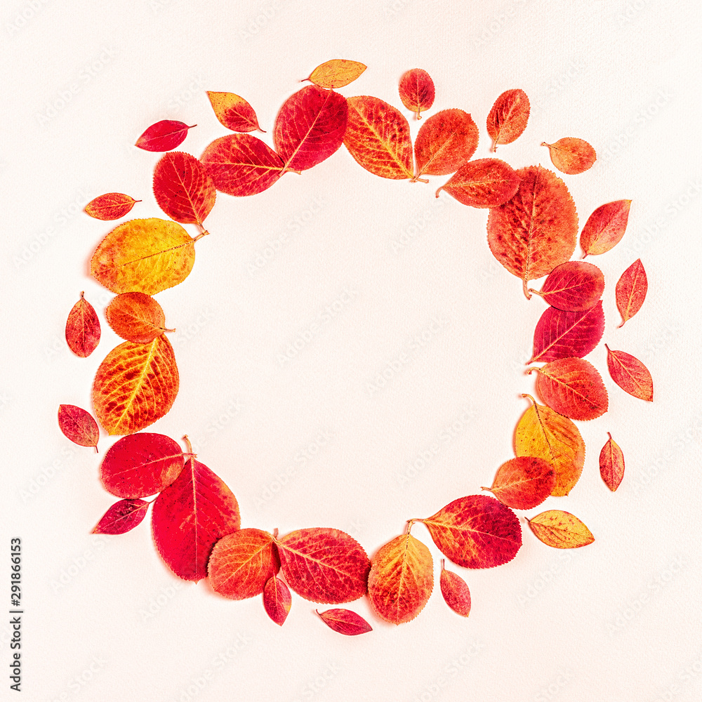 Bright, red leaves on a pastel background Bright, red leaves on a pastel background