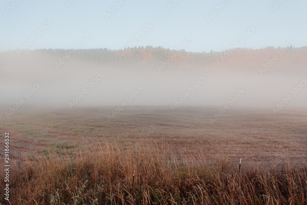 Empty Field Empty Field