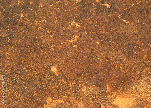 rock skin , stone texture , boulder surface