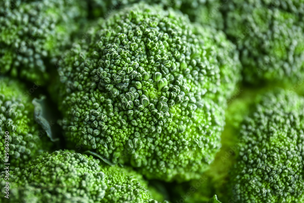 Fresh broccoli cabbage, closeup view Fresh broccoli cabbage, closeup view