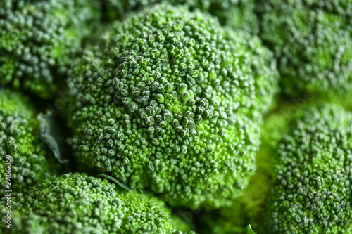 Fresh broccoli cabbage  closeup view