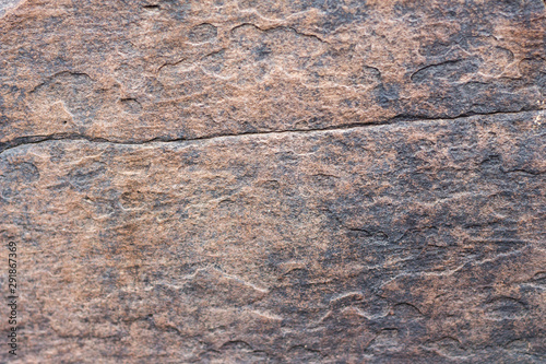 rock skin , stone texture , boulder surface