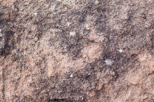 rock skin , stone texture , boulder surface