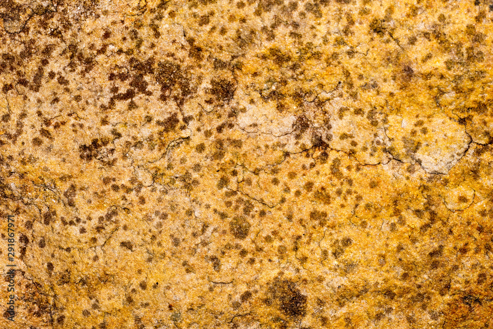stone texture , rock surface , boulder skin stone texture , rock surface , boulder skin
