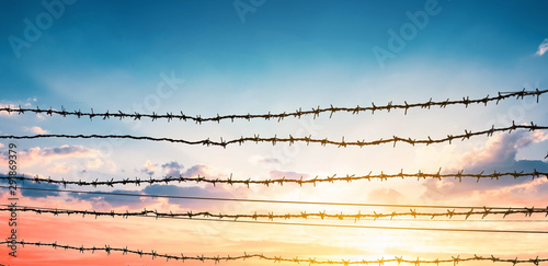 Foto Human Rights Day concept:  barbed wire on  sunset background