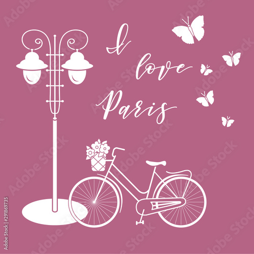 Bicycle, lantern, butterflies. I love Paris.