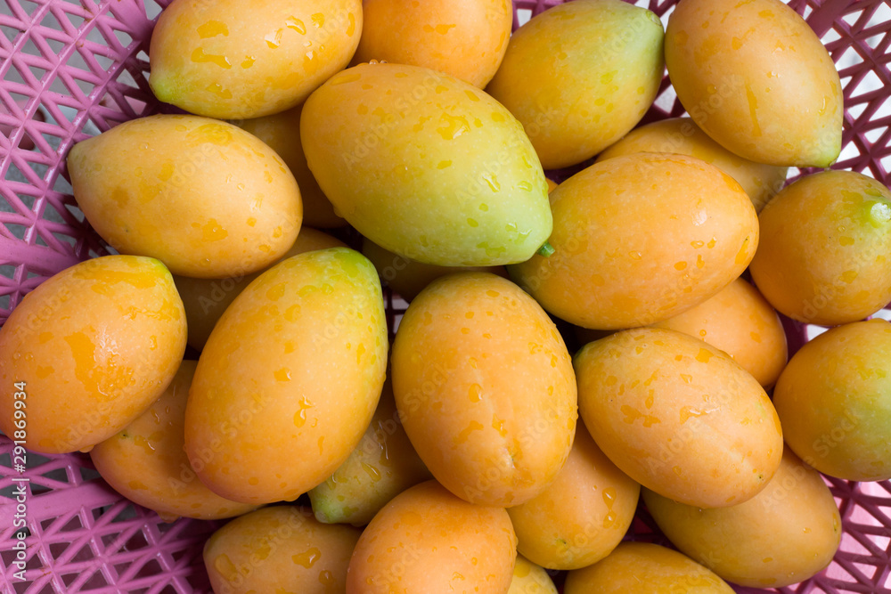 mango fruit in thailand market mango fruit in thailand market