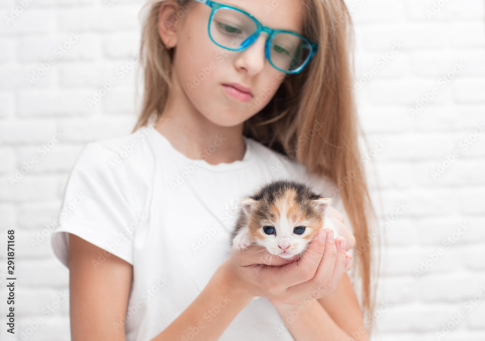 beautiful careful little caucasian girl in glasses holding small cat kitty in her hands with care and tenderness beautiful careful little caucasian girl in glasses holding small cat kitty in her hands with care and tenderness