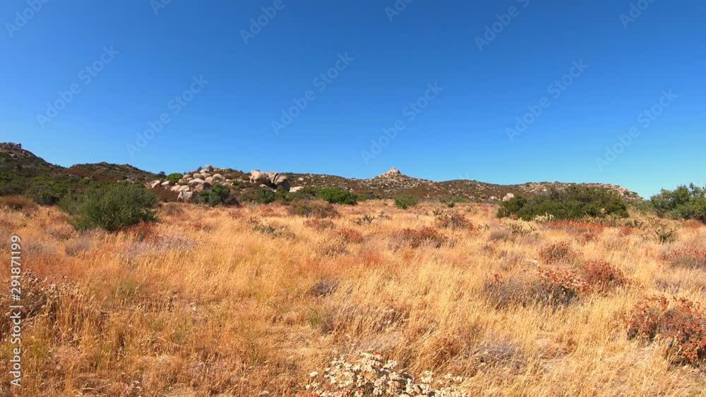 Clip of rugged wild west desert background with straw-colored grasses, granite rocks, Manzanita, cactus, hills, prairie grass, white sand and mountains. Filmed in southwest California, United States. Clip of rugged wild west desert background with straw-colored grasses, granite rocks, Manzanita, cactus, hills, prairie grass, white sand and mountains. Filmed in southwest California, United States.