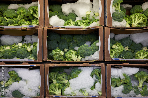 Fresh broccoli florets with ice in a grocery store. Shelf life of perishable foods.