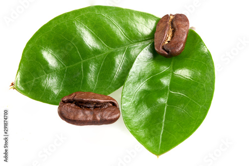 two coffee beans with two green leaves on a white background, isolate. concept: freshness of coffee beans.