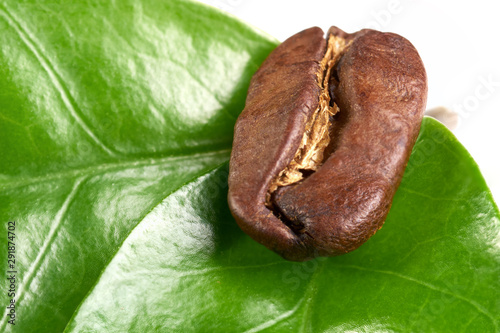 coffee bean with green leaf on white background, isolate. concept: freshness of coffee beans.