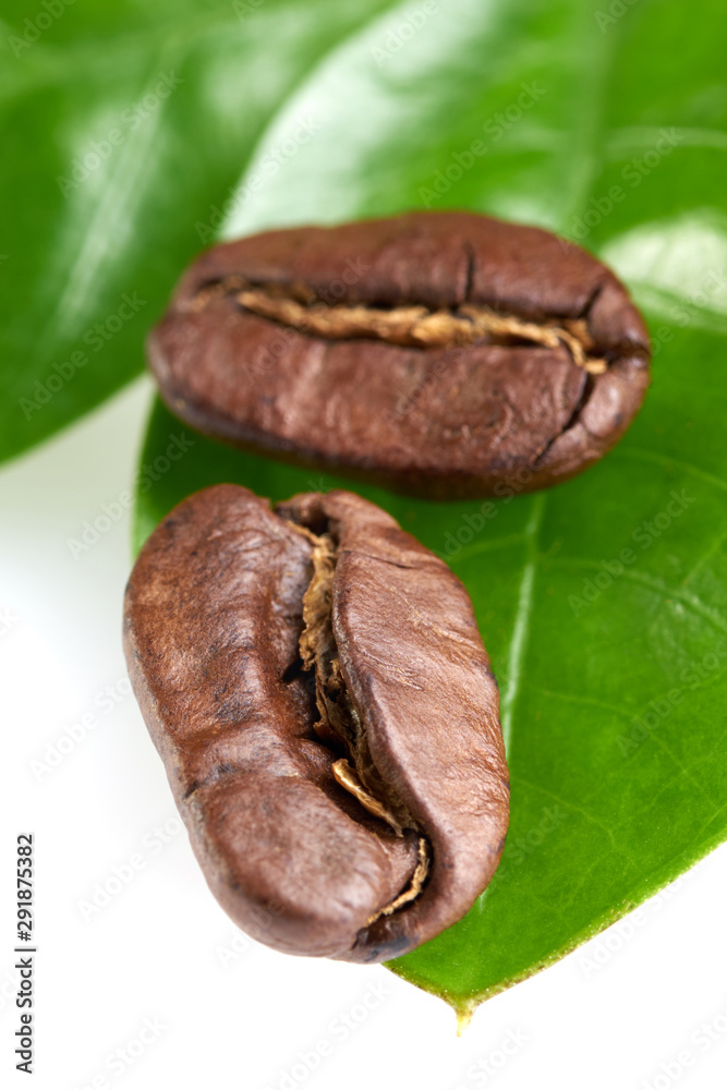 Obraz premium two coffee beans with a green leaf on a white background, isolate. concept: freshness of coffee beans. vertical view