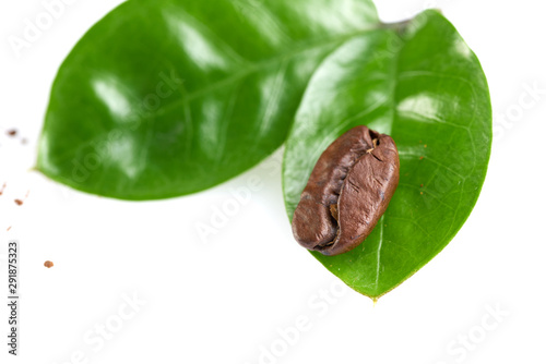 coffee bean with two green leaves on a white background, isolate. concept: freshness of coffee beans.