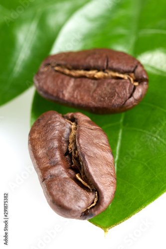 two coffee beans with a green leaf on a white background, isolate. concept: freshness of coffee beans. vertical view