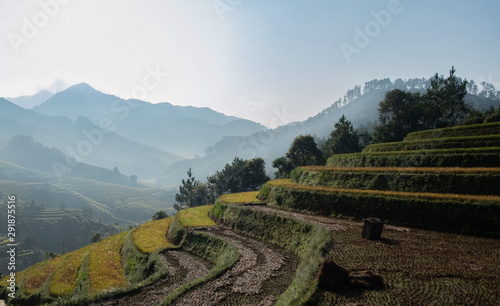 Viewpoint terraced rice fields the morning sun shines on the rice fields. Pure and fresh and clear air at Mu Cang Chai in Vietnam.