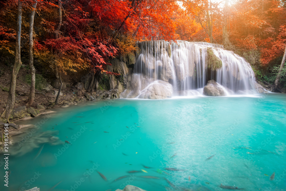 Amazing in nature, beautiful waterfall at colorful autumn forest in fall season Amazing in nature, beautiful waterfall at colorful autumn forest in fall season