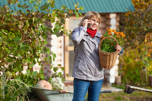 Woman in the garden harvests vegetables, fruits on the background of the house and trees.