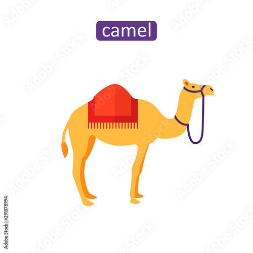 Arabian camel icons set.