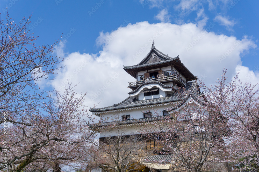 Inuyama castle with sakura blooming Inuyama castle with sakura blooming