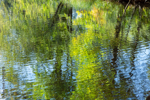 abstract autumn landscape of reflection in the water of bright foliage  tree trunks and blue sky