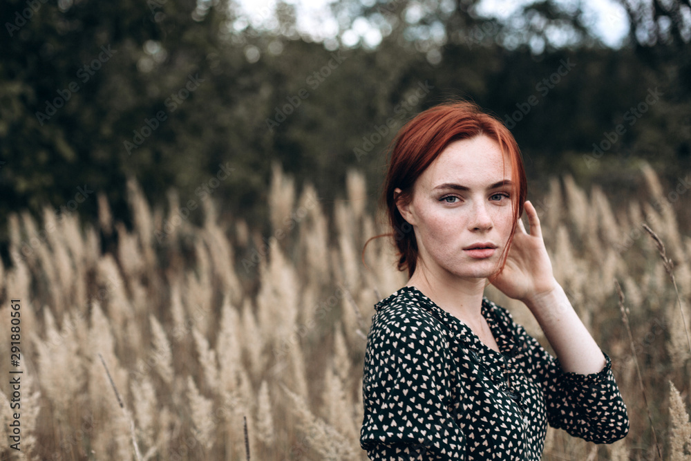 Close up portrait of young ginger sensual pretty caucasian lovely girl with freckled face in autumn field with long hair. Beauty, sexuality, red headed girl, natural beauty, no make up concept