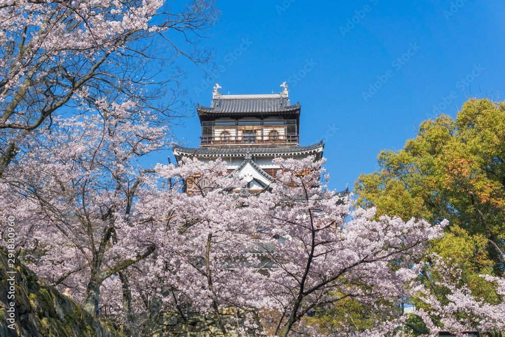 Hiroshima castle with sakura flower blooming