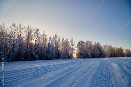 White road in a winter forest with snow covered trees in a sunny day © keleny