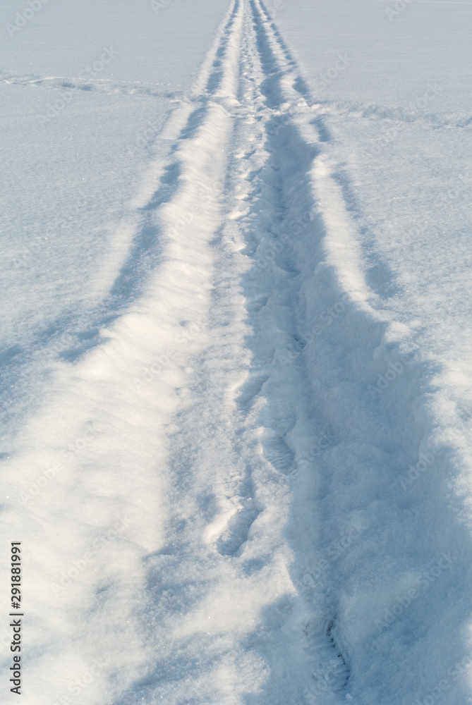 Tracks and footprints on winter snow field Tracks and footprints on winter snow field