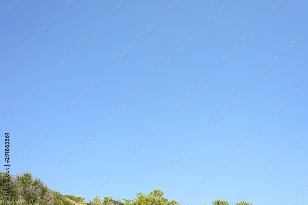a landscape of clear blue skies and mediterranean pines a landscape of clear blue skies and mediterranean pines