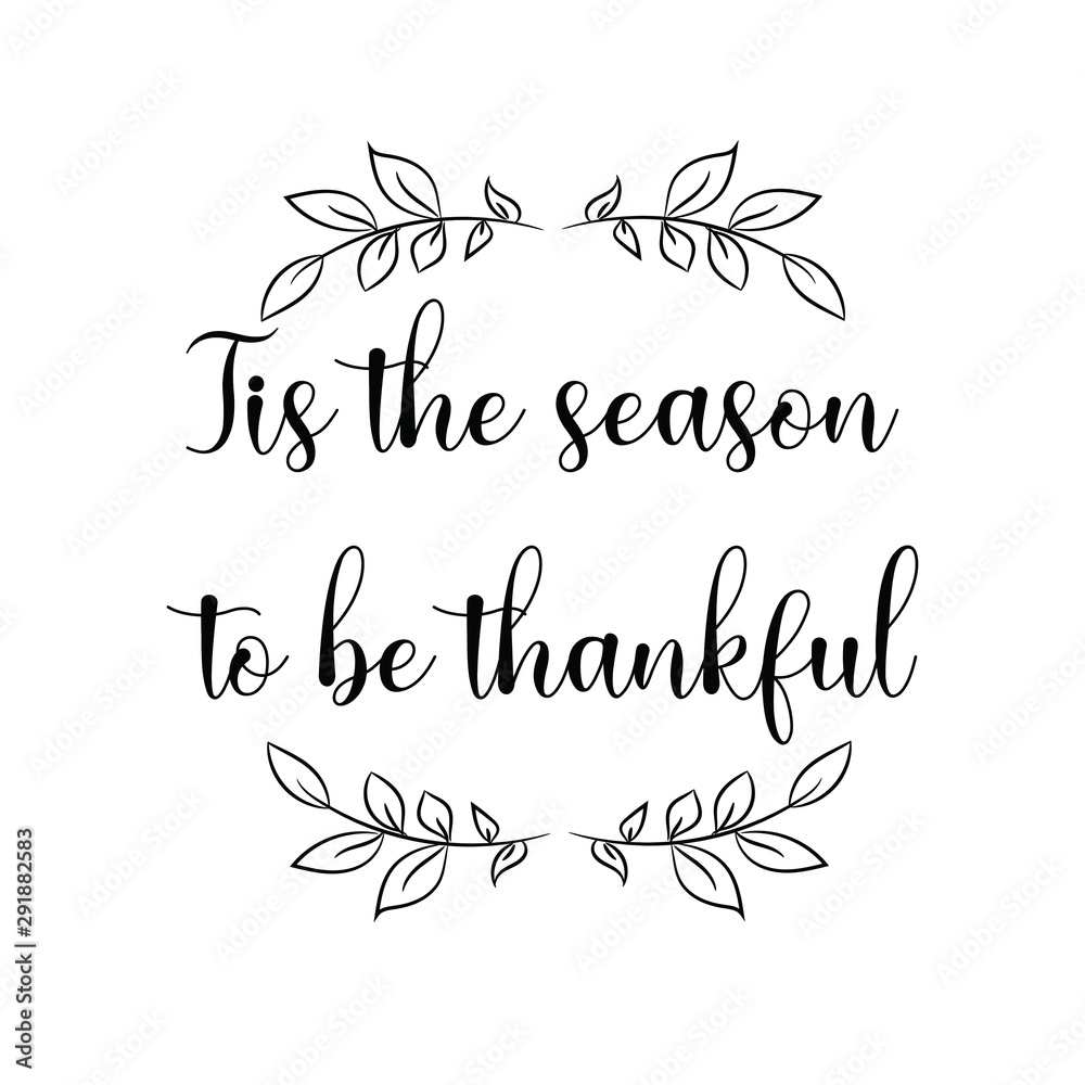Tis the season to be thankful.. Calligraphy saying for print. Vector Quote 