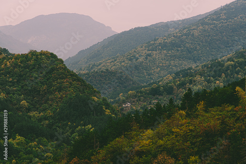 Autumn landscape view in Rhodope Mountains with green  yellow and orange leafs 