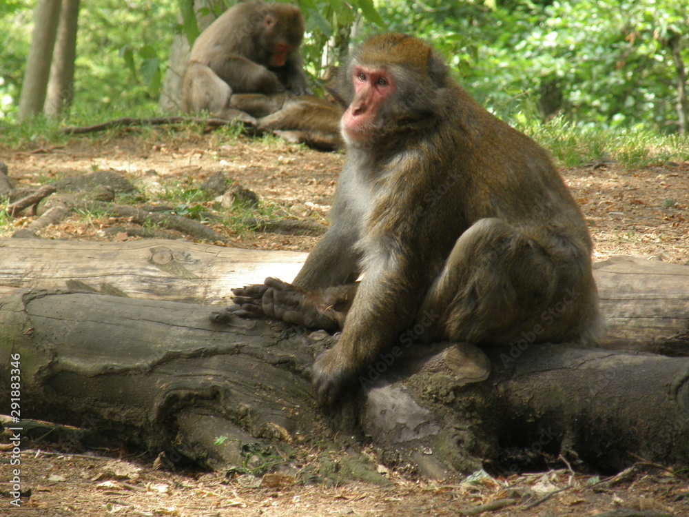 Naklejka premium OLYMPUS DIGITAL CAMERA