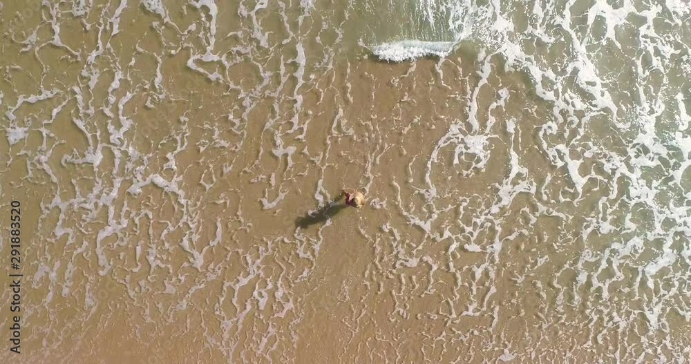 Dron encima de chica que anda por playa y olas