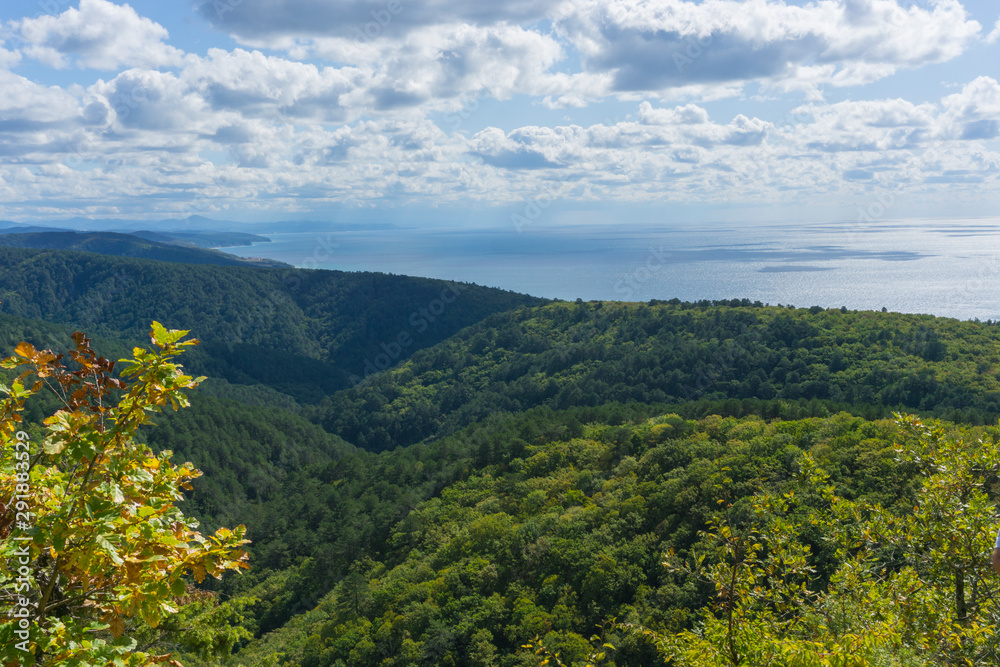 Beautiful aerial view of the Black Sea from top of the hill of the green forest. Sun light reflection.